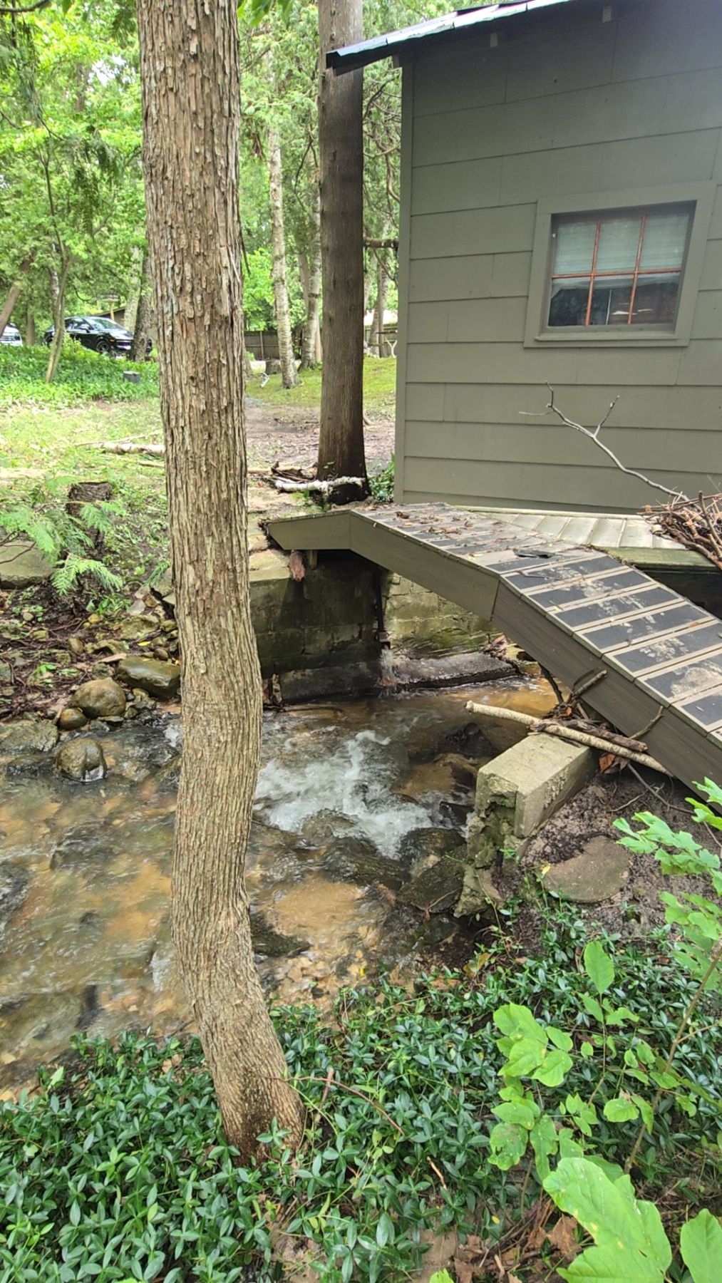 Water Damage Restoration