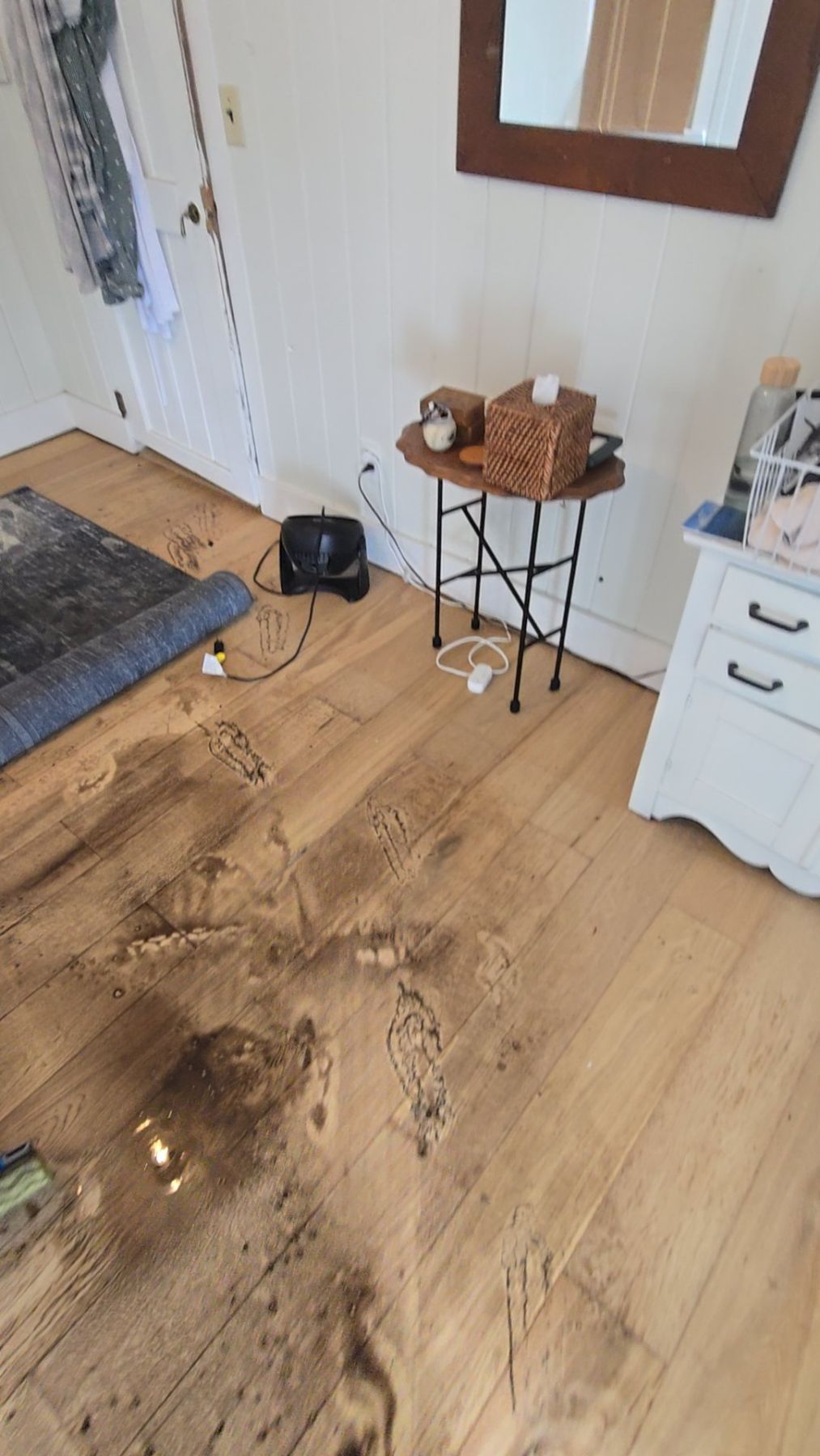 Water Damage Restoration