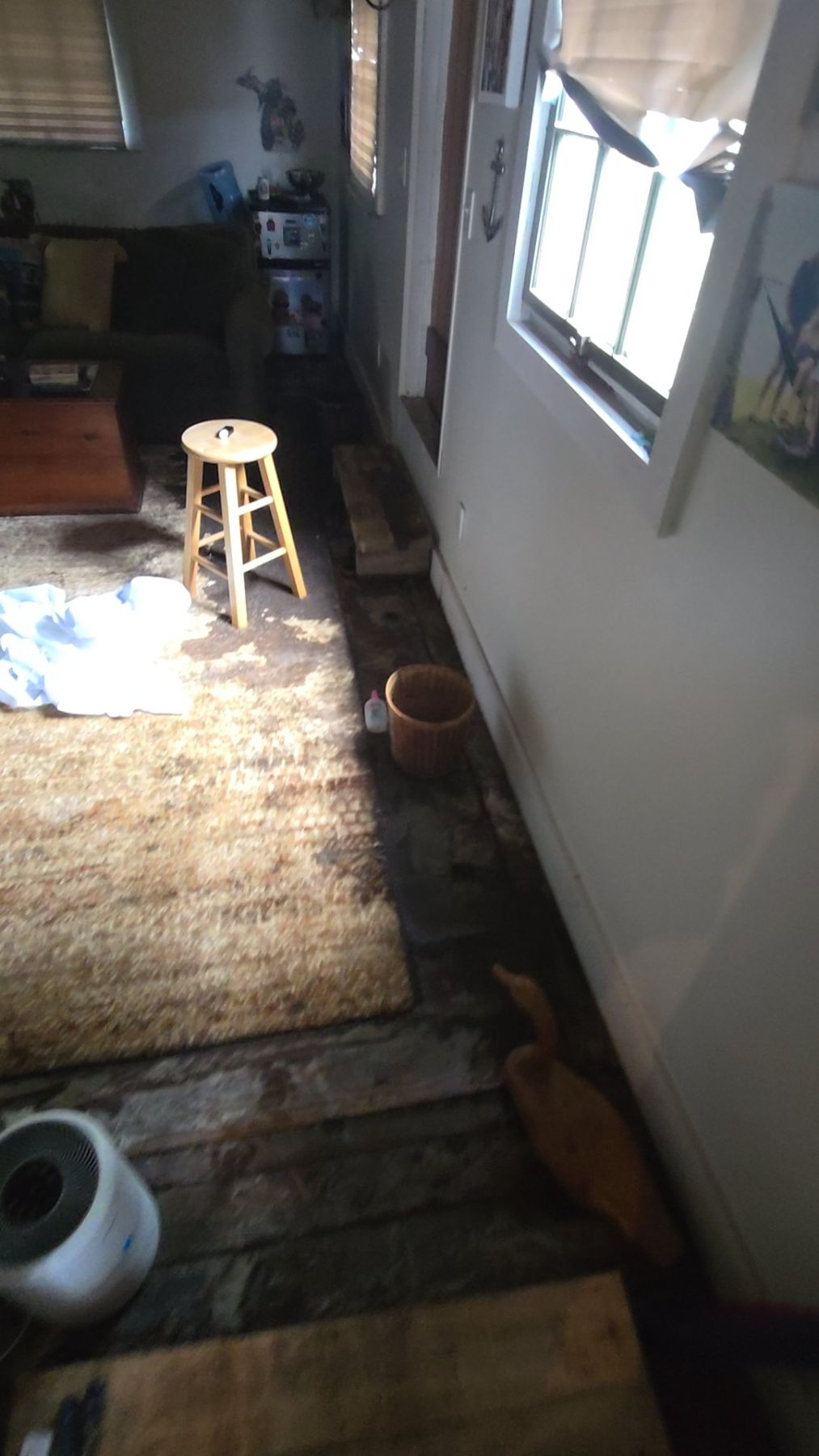 Water Damage Restoration